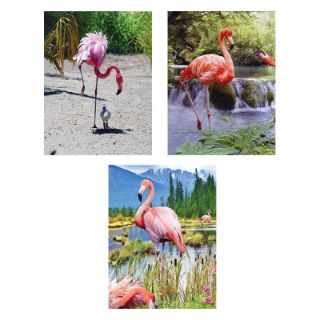 Obrázek z Obrázek 3D měnící 50x35cm - plameňáci (16) 
